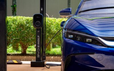 BYD celebra parceria com E-Wolf para ampliar oferta de carregadores elétricos no país