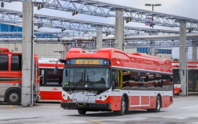 Ônibus elétricos da BYD chegam às ruas de Toronto, a maior cidade do Canadá