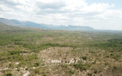 Sistema com baterias BYD alimentará reserva ambiental no cerrado de Goiás