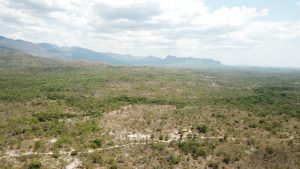 Sistema com baterias BYD alimentará reserva ambiental no cerrado de Goiás