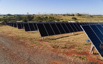 BYD inaugura sua primeira usina fotovoltaica de P&D no Brasil