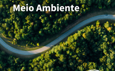 BYD celebra Dia Mundial do Meio Ambiente ampliando suas ações sustentáveis