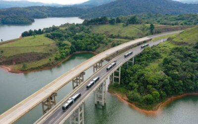 Dia da Árvore: cada ônibus elétrico da BYD evita emissão de poluentes que equivalem ao plantio de 892 árvores por ano